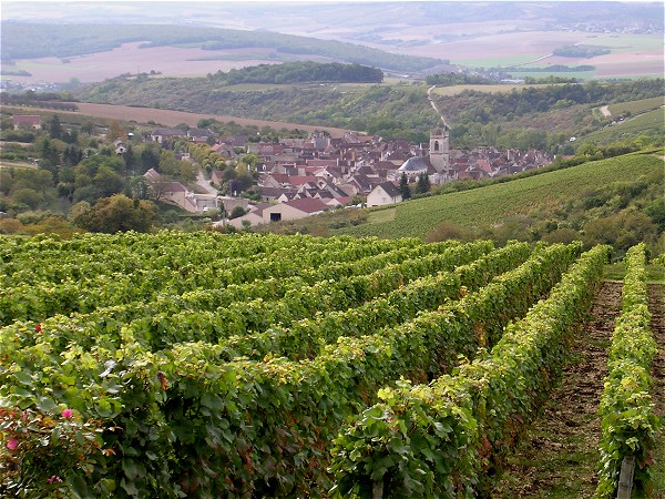 beautiful-guestsrooms-burgundy-wine