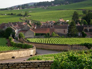 wines-burgundy-bed-and-breakfast