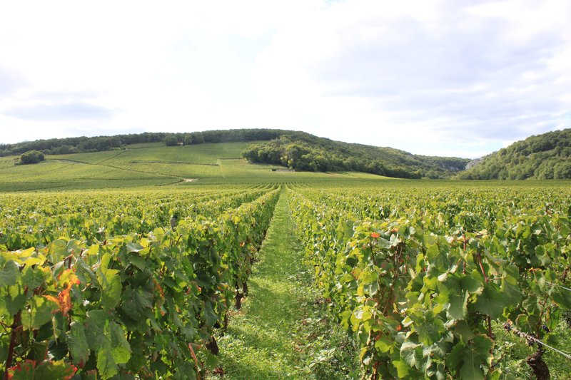 accommodation-breakfast-burgundy-wine-route