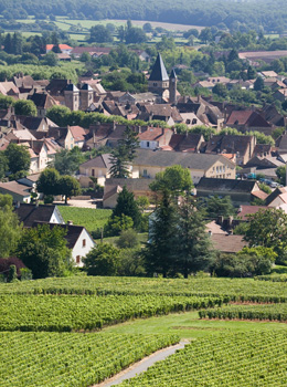 macon-bed-and-breakfast-burgundy