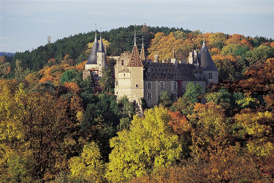 medieval-chateau-burgubdy